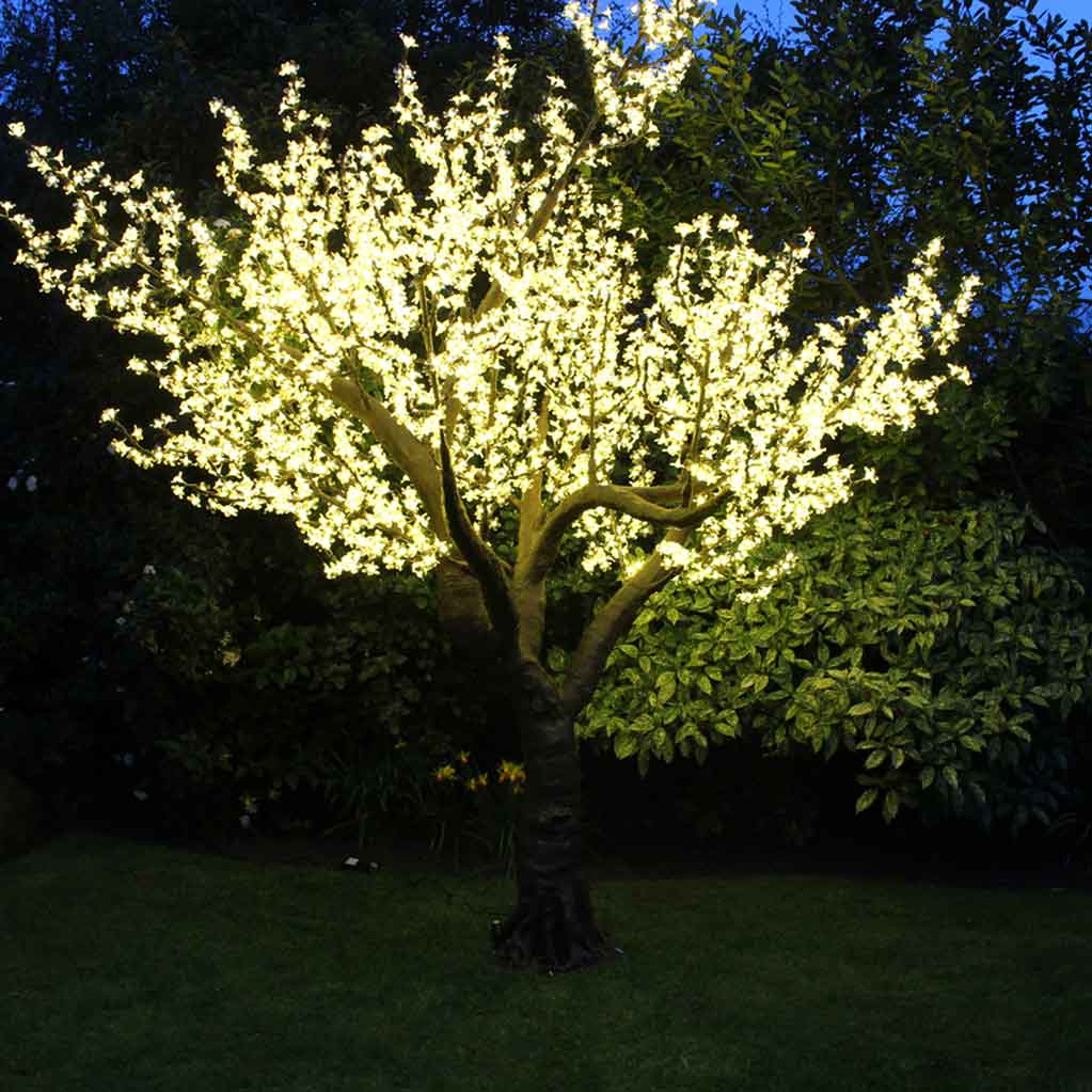 LED Blossom Tree Hire Leicester