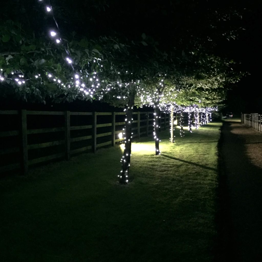 OutdoorFairyLights Premier Events OutdoorFairyLights Premier Events